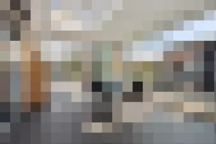 Ambachtstraat 5 A Schijndel thumbnail 23