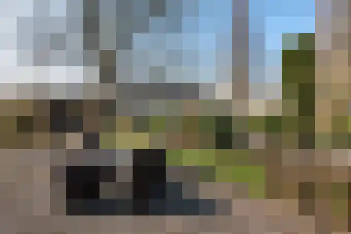 Ambachtstraat 5 A Schijndel thumbnail 29