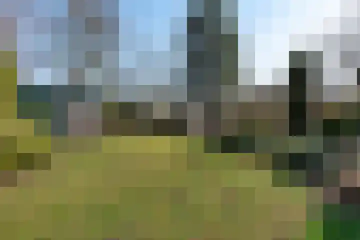 Ambachtstraat 5 A Schijndel thumbnail 31