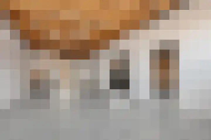 Ambachtstraat 5 A Schijndel thumbnail 32