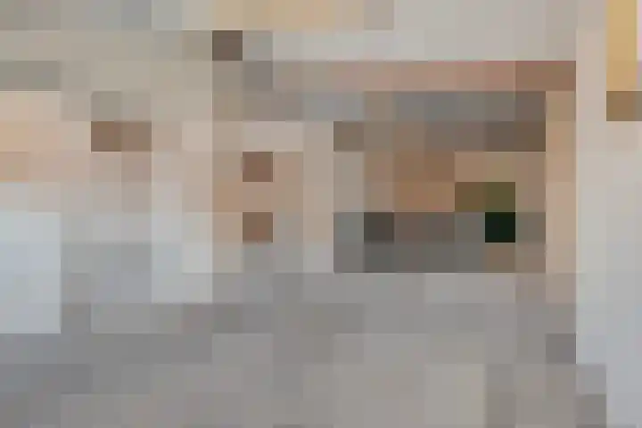 Ambachtstraat 5 A Schijndel thumbnail 33