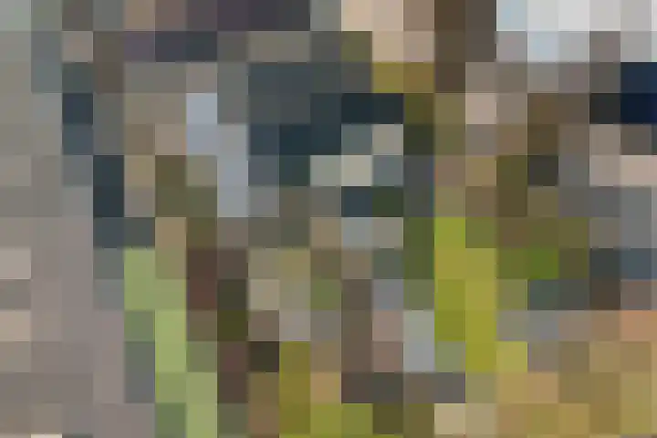 Ambachtstraat 5 A Schijndel thumbnail 39