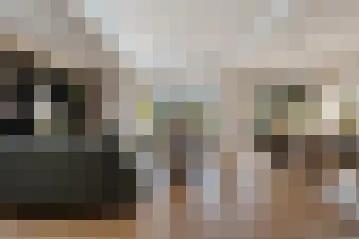 Ambachtstraat 5 A Schijndel thumbnail 5