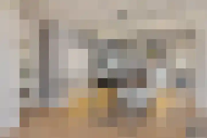 Ambachtstraat 5 A Schijndel thumbnail 7