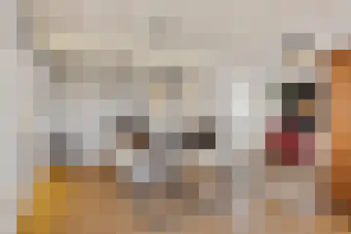 Ambachtstraat 5 A Schijndel thumbnail 8