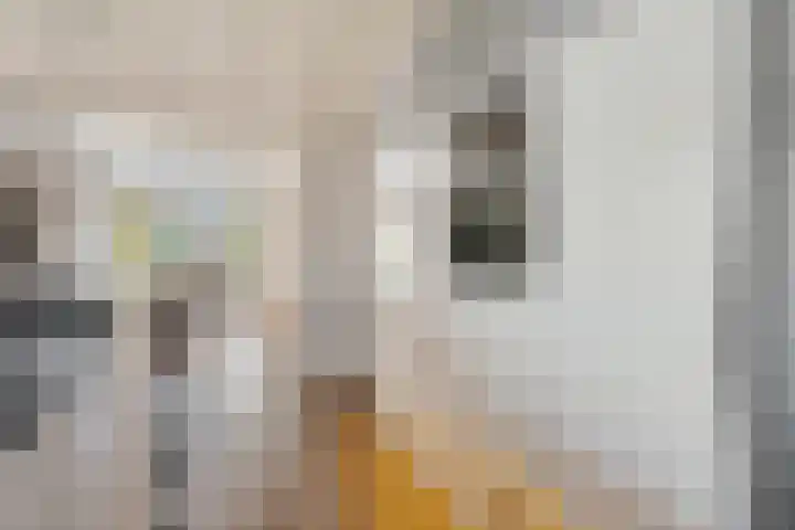 Ambachtstraat 5 A Schijndel thumbnail 9