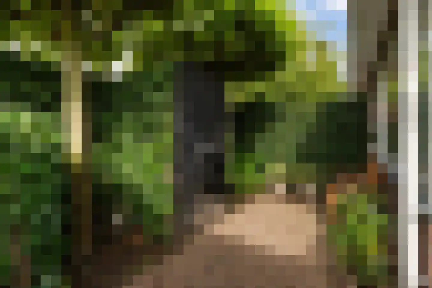 Ambachtstraat 5 b Laren thumbnail 37