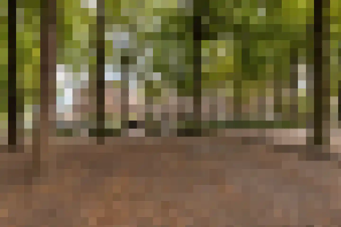 Ambachtstraat 5 b Laren thumbnail 42