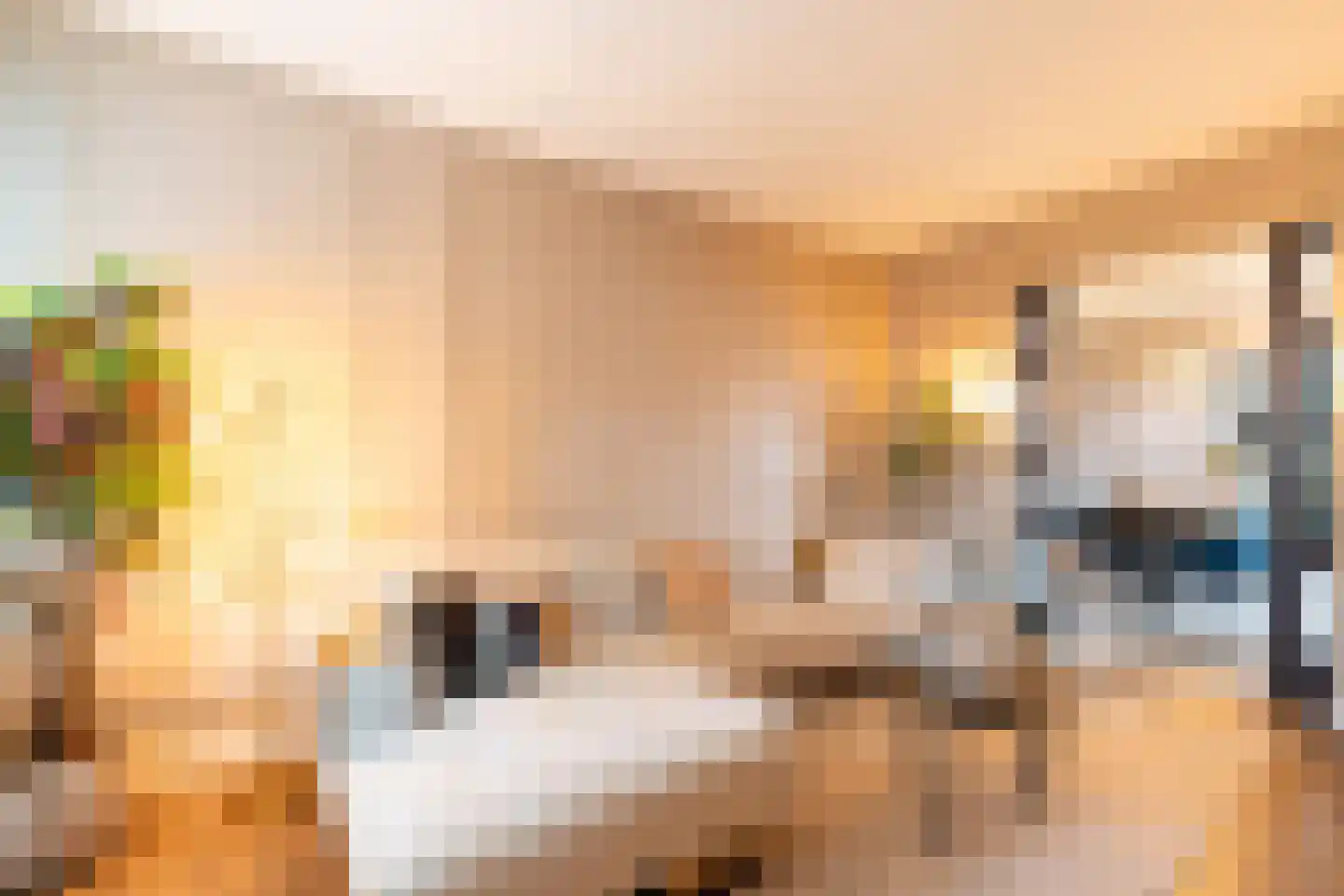 Ambachtstraat 5 b Laren thumbnail 5