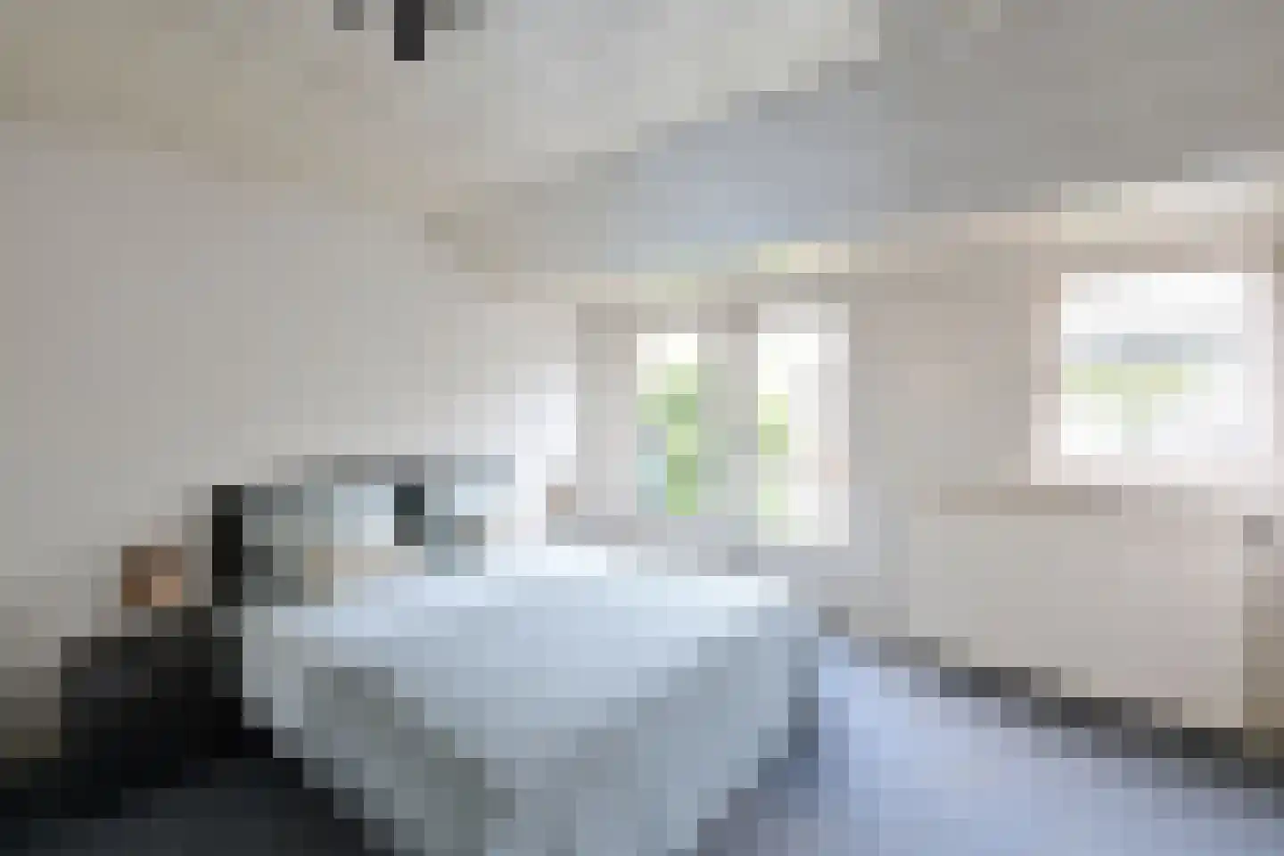 Ambachtstraat 5 Laren thumbnail 11