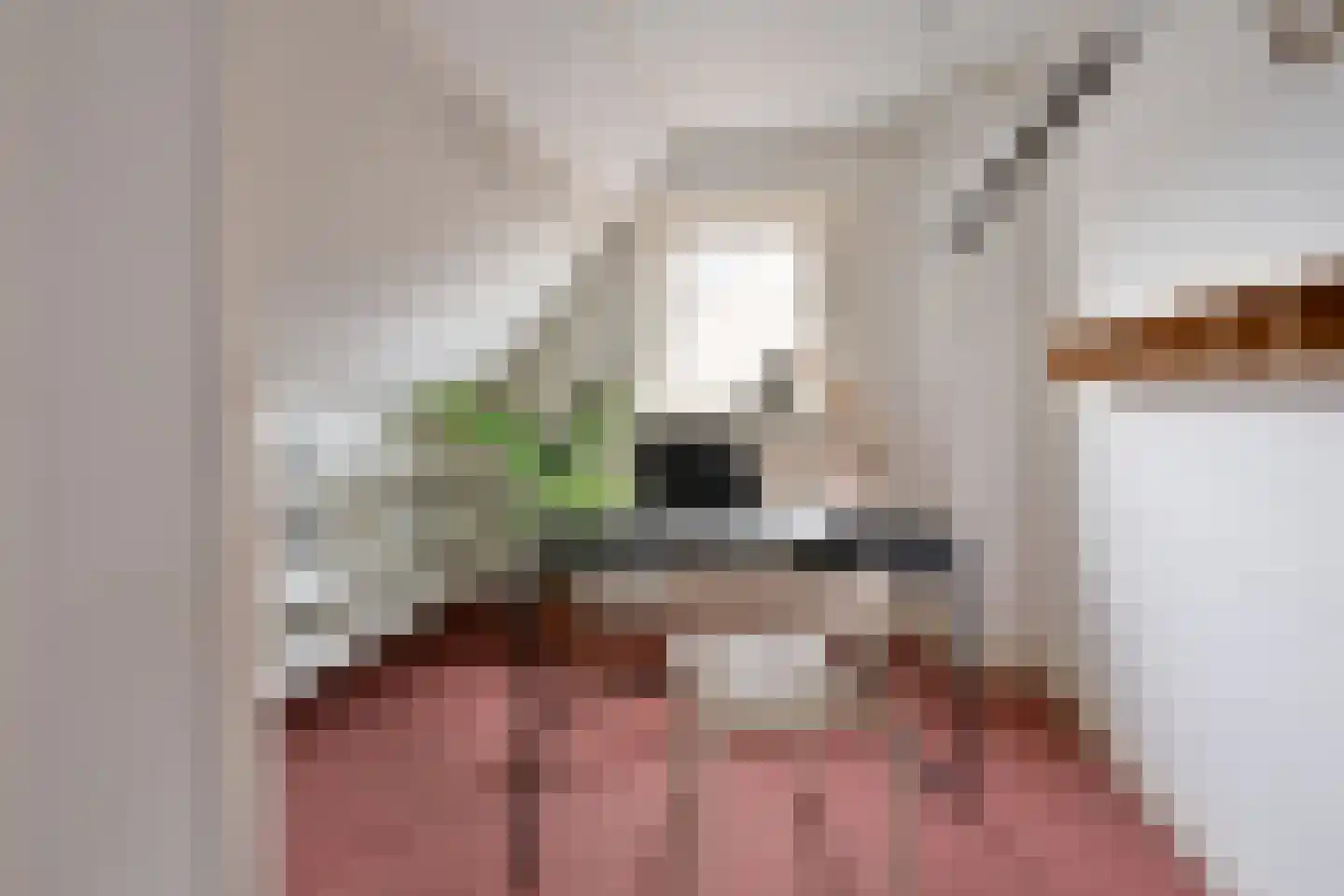Ambachtstraat 5 Laren thumbnail 12