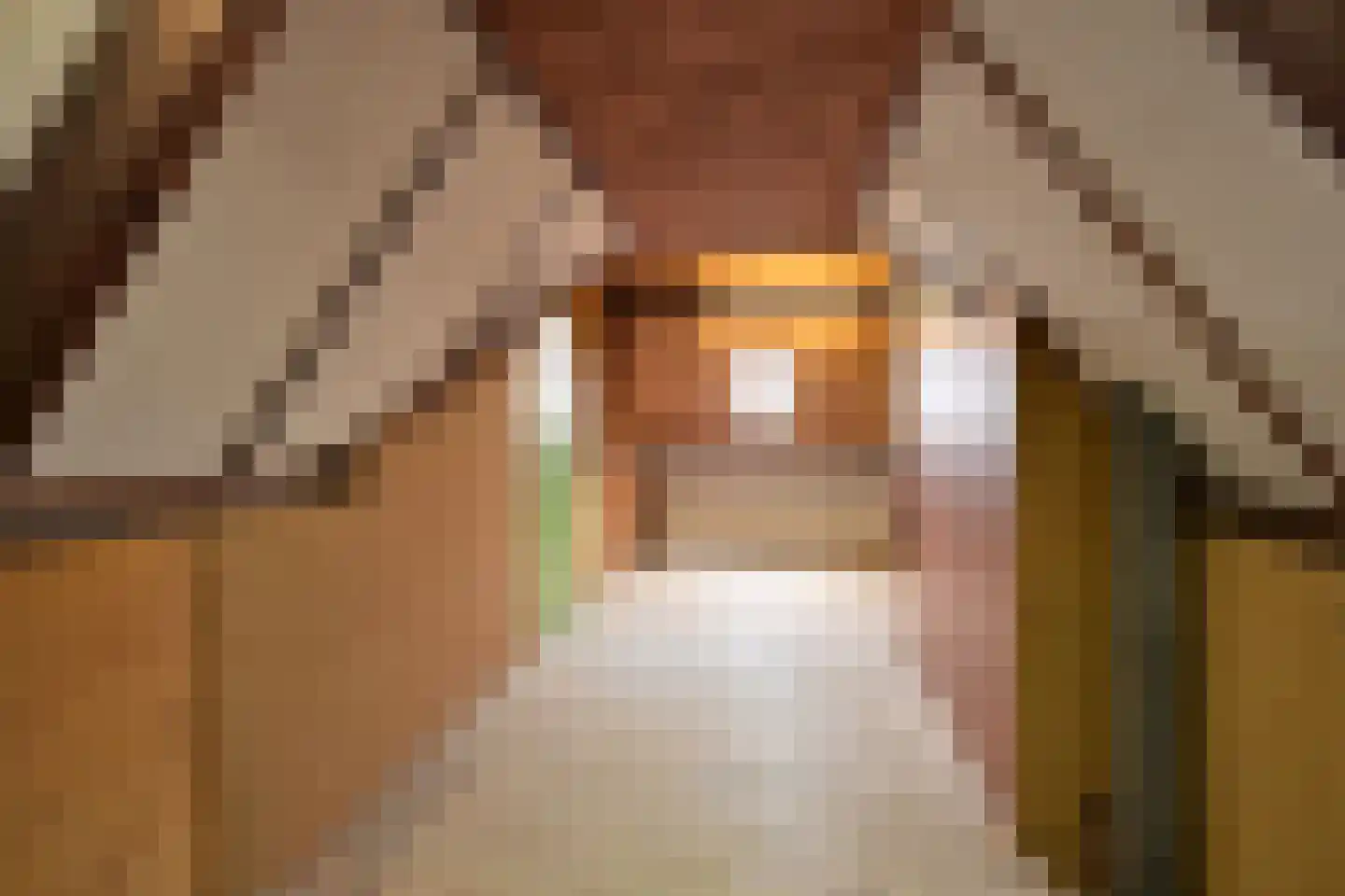 Ambachtstraat 5 Laren thumbnail 16