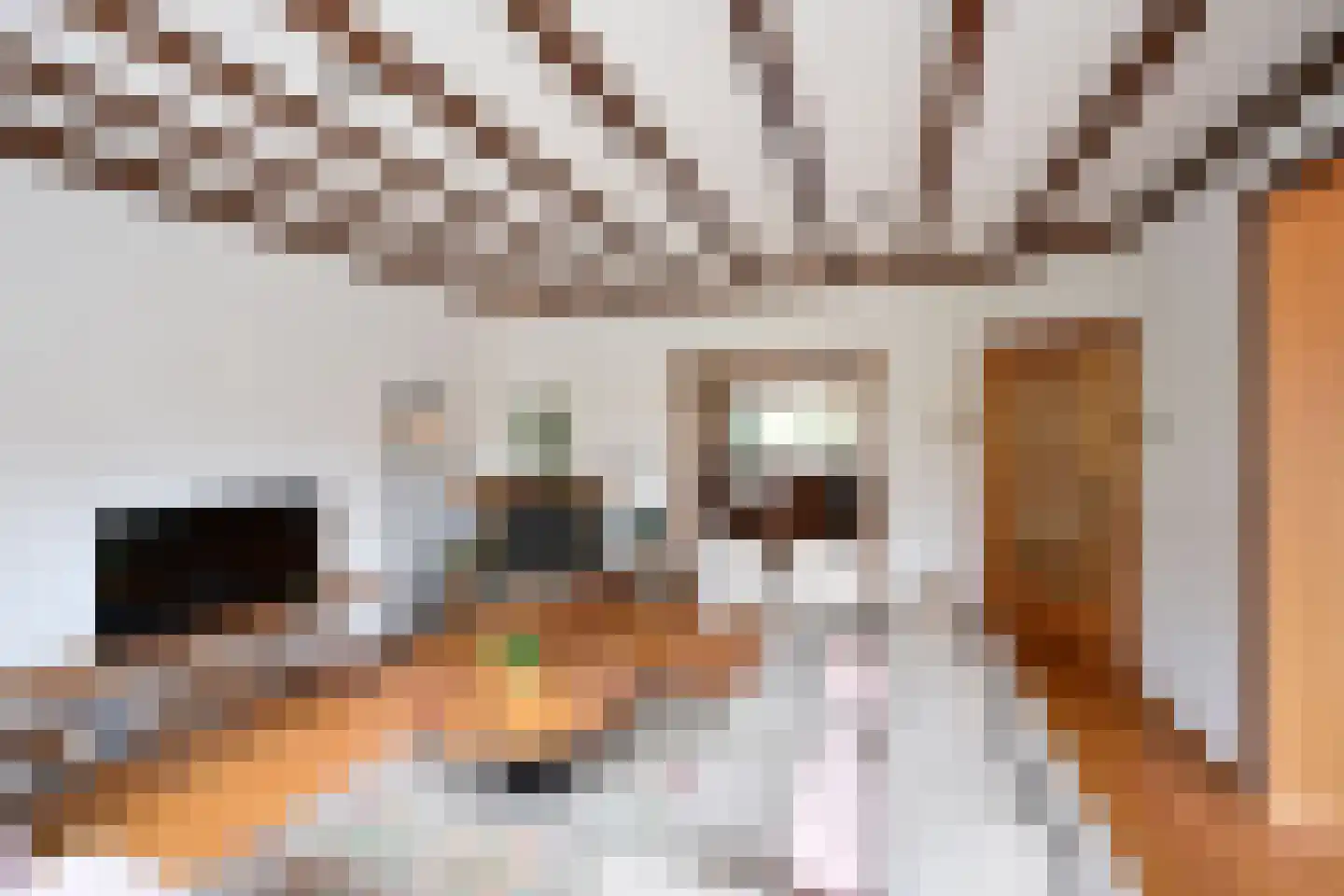 Ambachtstraat 5 Laren thumbnail 5