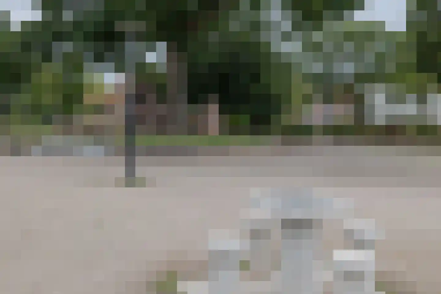 Ambachtstraat 53 Hillegom thumbnail 42