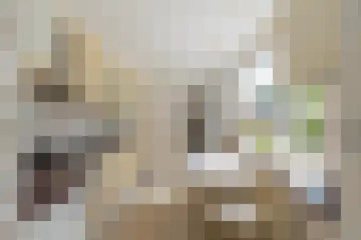 Ambachtstraat 58 Hillegom thumbnail 14