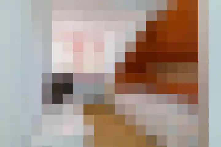 Ambachtstraat 58 Hillegom thumbnail 31