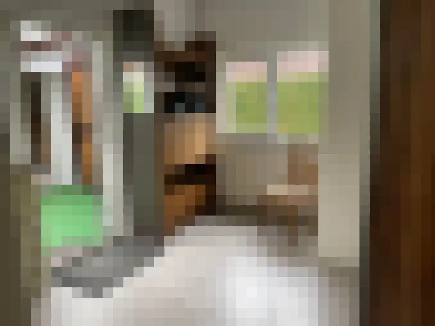 Ambachtstraat 6 Haalderen thumbnail 13