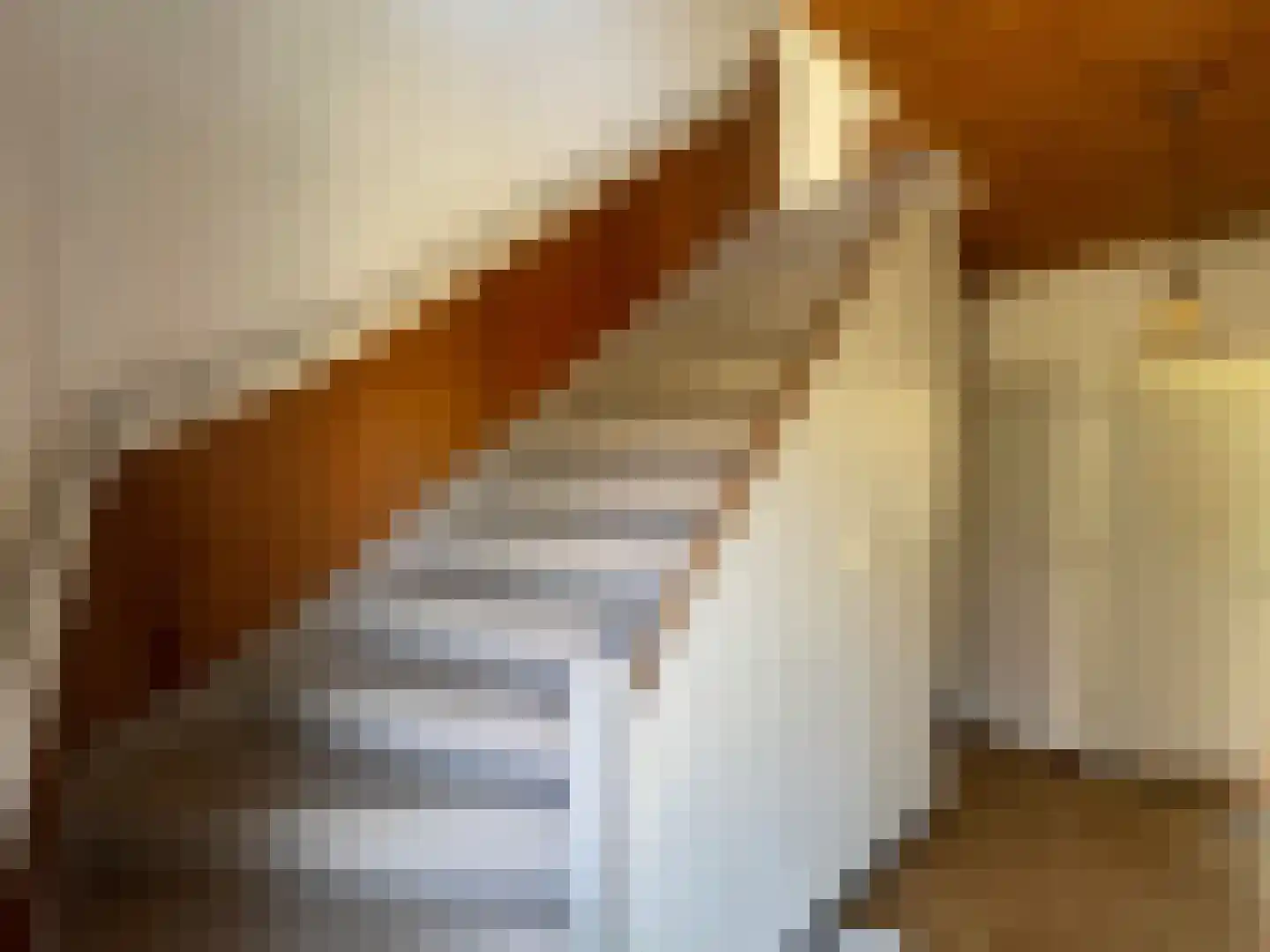 Ambachtstraat 6 Haalderen thumbnail 15