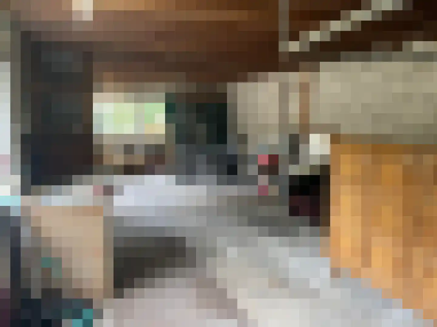 Ambachtstraat 6 Haalderen thumbnail 25