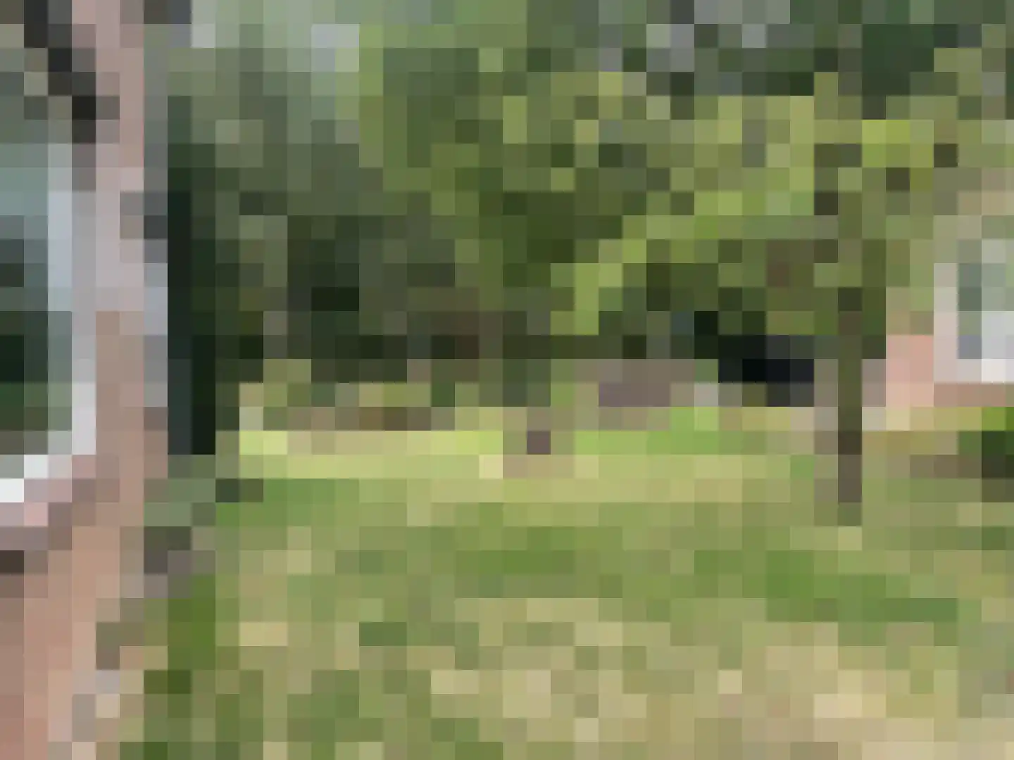 Ambachtstraat 6 Haalderen thumbnail 27