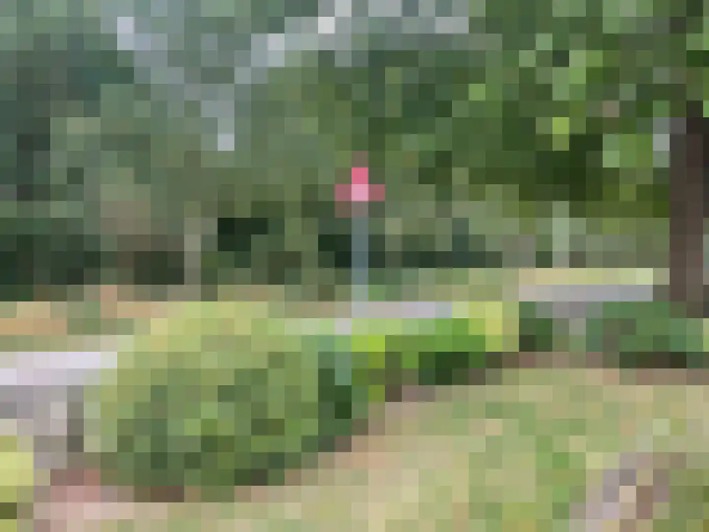 Ambachtstraat 6 Haalderen thumbnail 28
