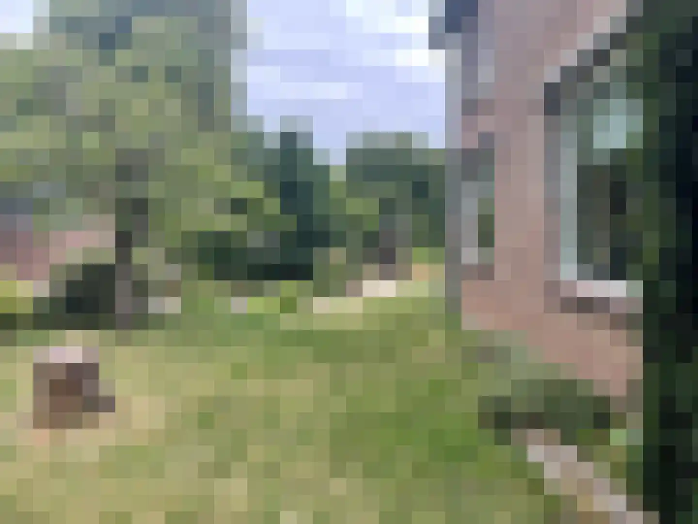 Ambachtstraat 6 Haalderen thumbnail 30