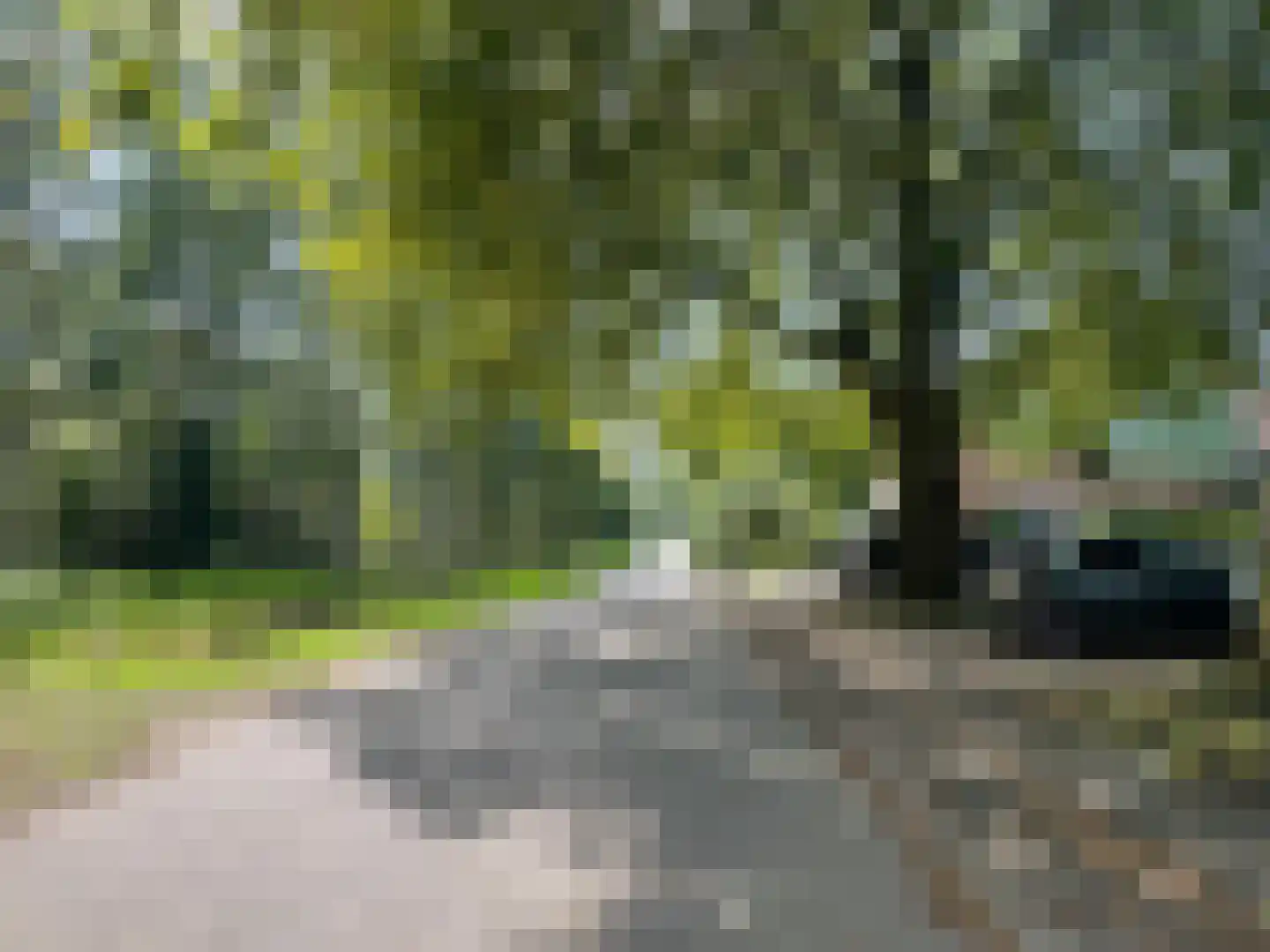 Ambachtstraat 6 Haalderen thumbnail 36