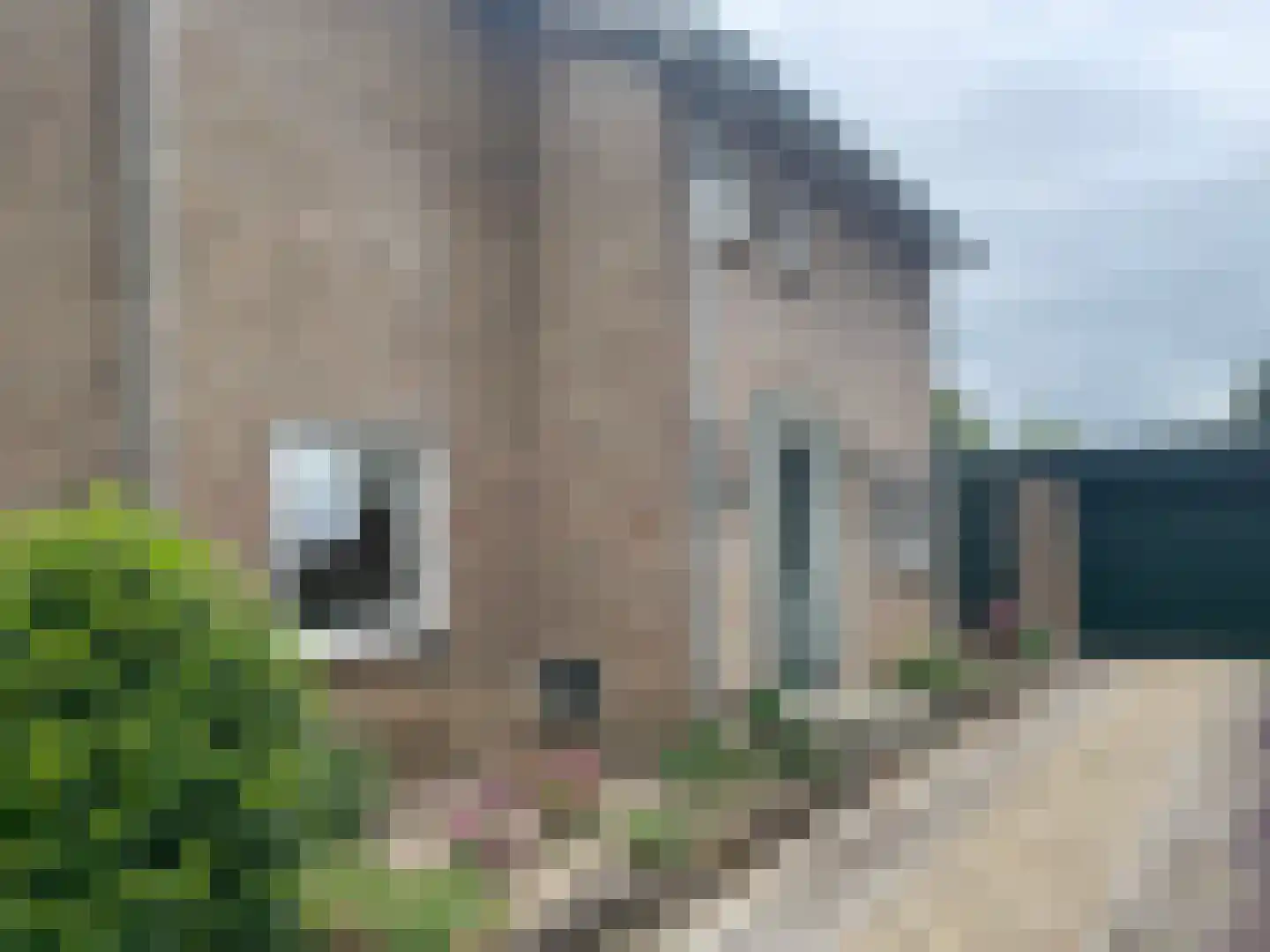 Ambachtstraat 6 Haalderen thumbnail 5