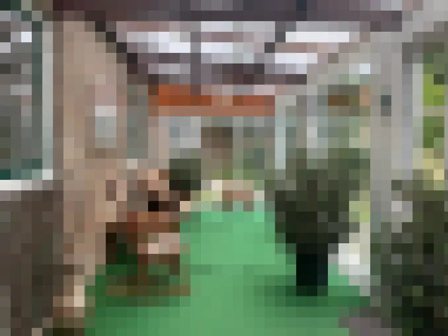 Ambachtstraat 6 Haalderen thumbnail 7