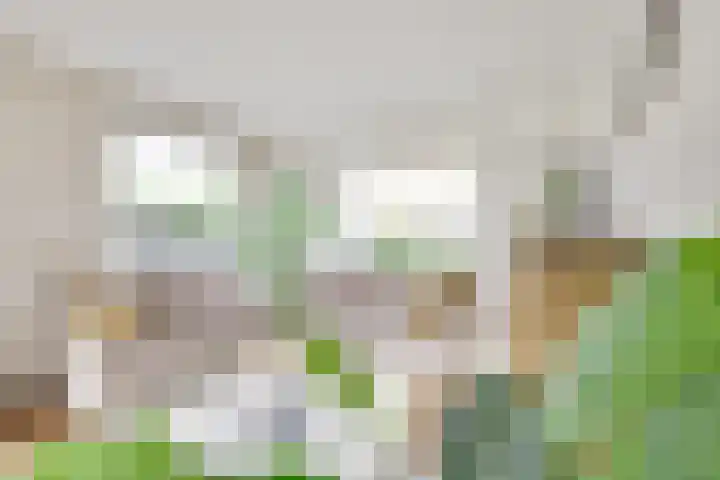 Ambachtstraat 6 Werkhoven thumbnail 12