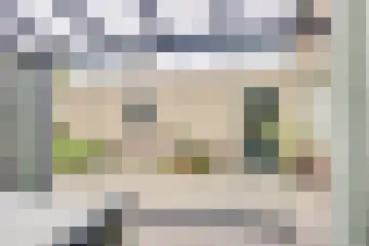 Ambachtstraat 6 Werkhoven thumbnail 18