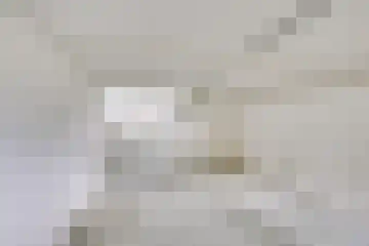 Ambachtstraat 6 Werkhoven thumbnail 24