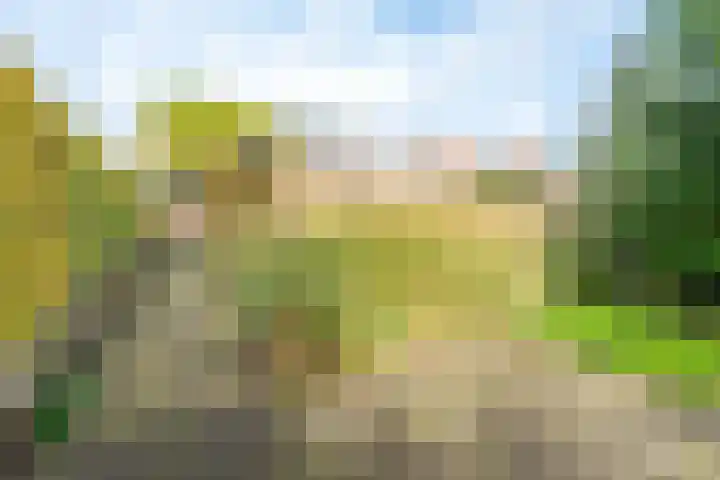 Ambachtstraat 6 Werkhoven thumbnail 29