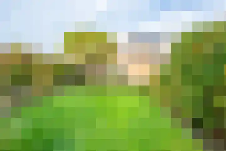 Ambachtstraat 6 Werkhoven thumbnail 30