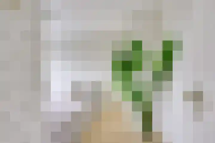 Ambachtstraat 6 Werkhoven thumbnail 31