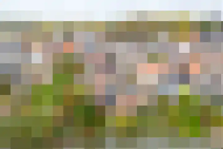 Ambachtstraat 6 Werkhoven thumbnail 4