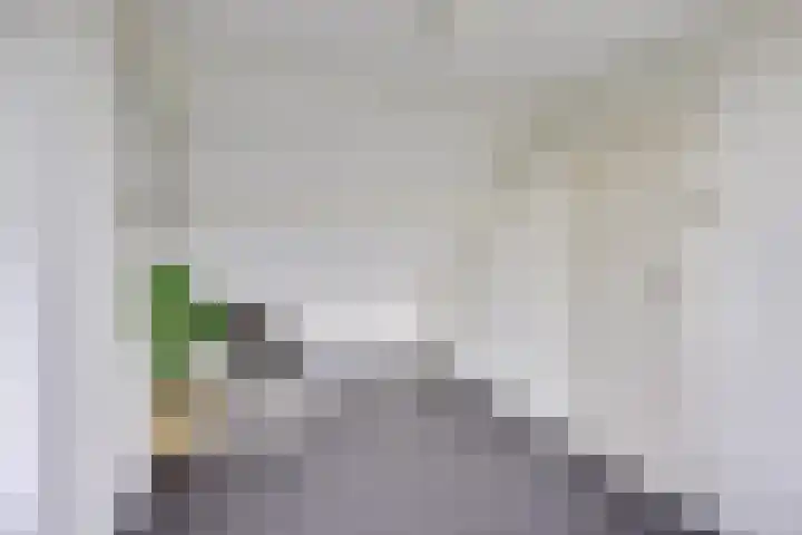 Ambachtstraat 6 Werkhoven thumbnail 44