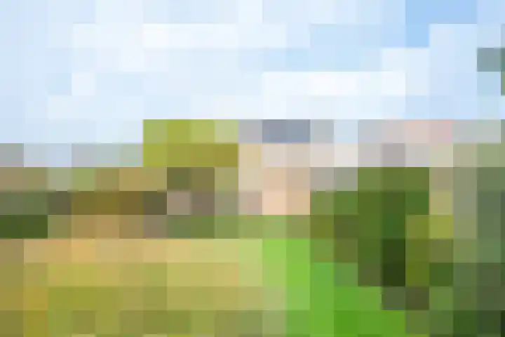 Ambachtstraat 6 Werkhoven thumbnail 5
