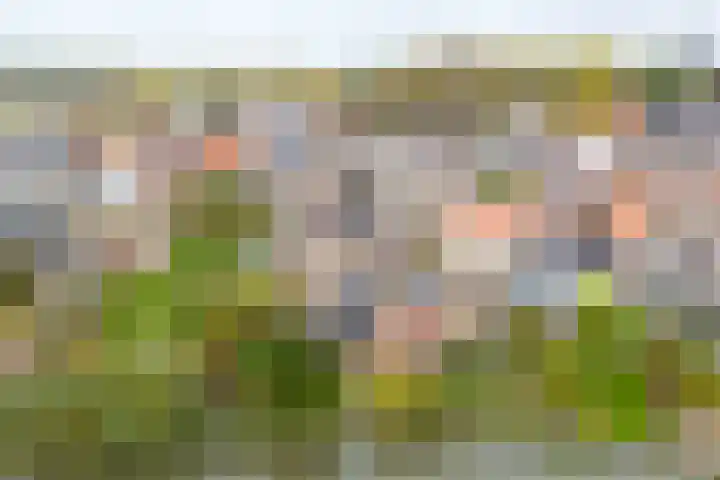 Ambachtstraat 6 Werkhoven thumbnail 50