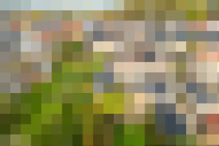 Ambachtstraat 6 Werkhoven thumbnail 51