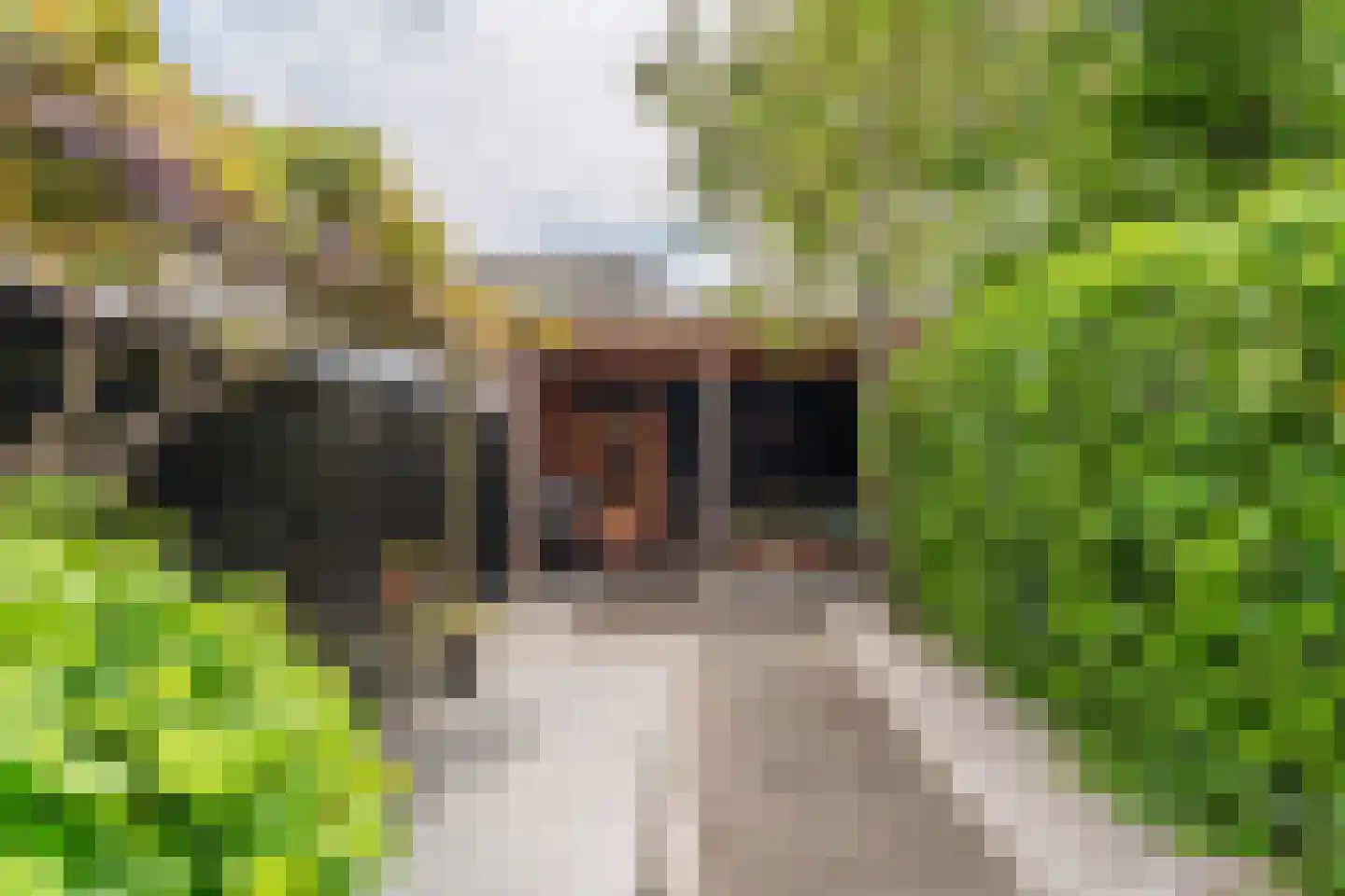 Ambachtstraat 60 Hillegom thumbnail 26