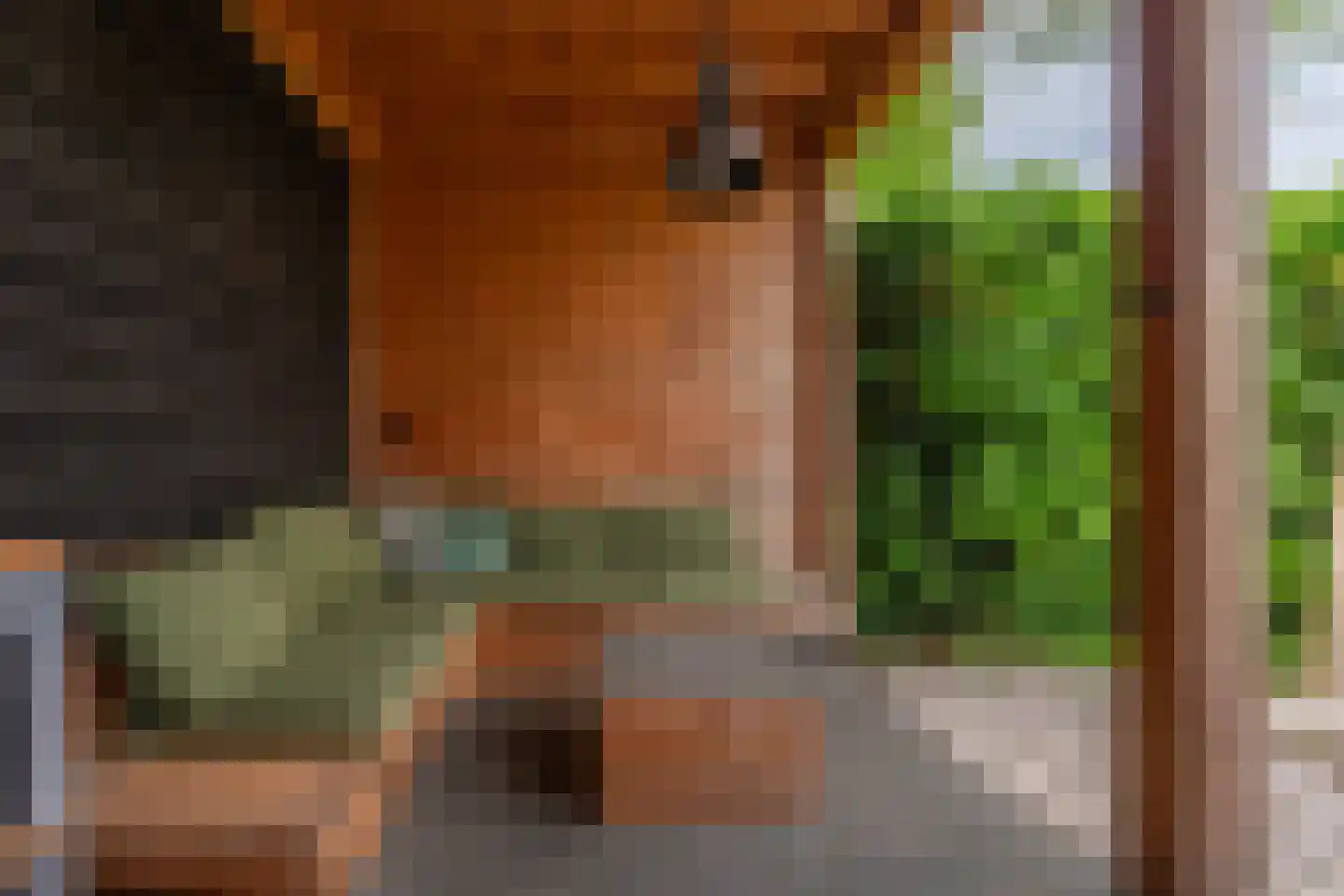 Ambachtstraat 60 Hillegom thumbnail 27