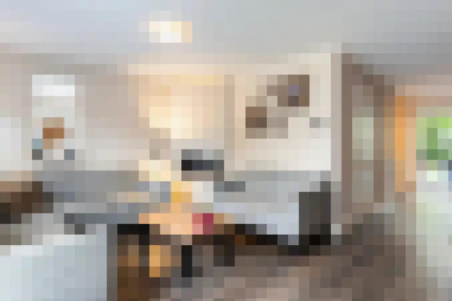 Ambachtstraat 75 Haaksbergen thumbnail 13