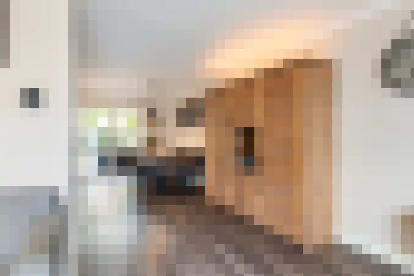 Ambachtstraat 75 Haaksbergen thumbnail 15