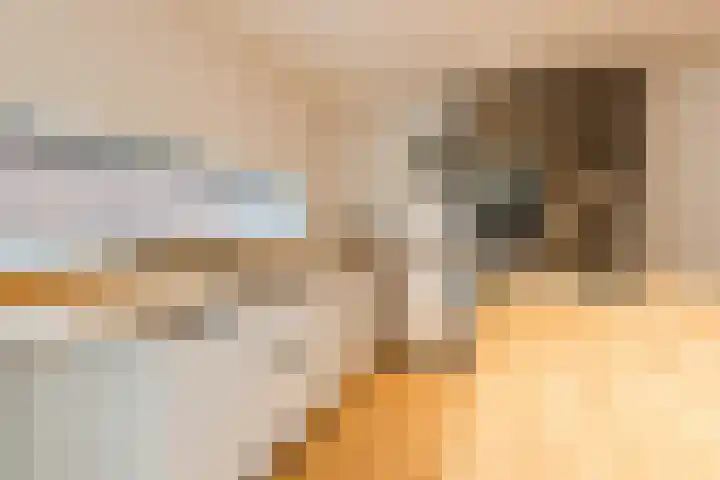 Ambachtstraat 8 a Didam thumbnail 14