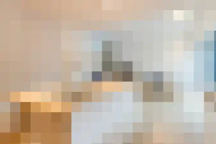 Ambachtstraat 8 a Didam thumbnail 16