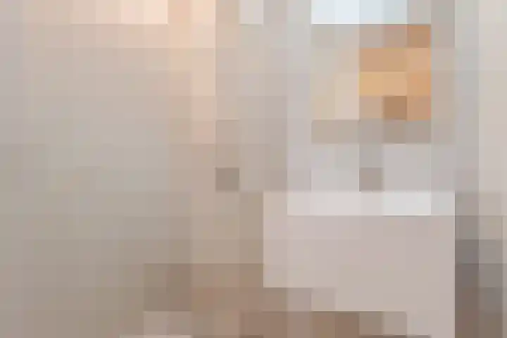 Ambachtstraat 8 a Didam thumbnail 19