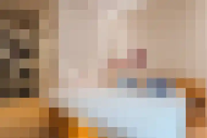 Ambachtstraat 8 a Didam thumbnail 28