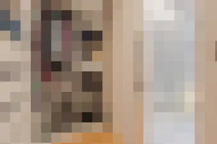 Ambachtstraat 8 a Didam thumbnail 29