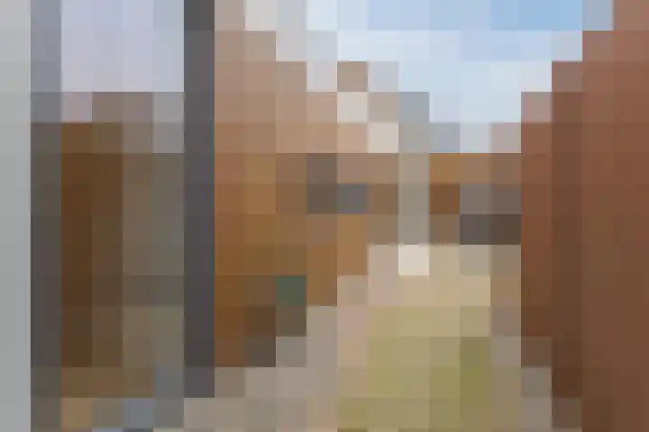 Ambachtstraat 8 a Didam thumbnail 34